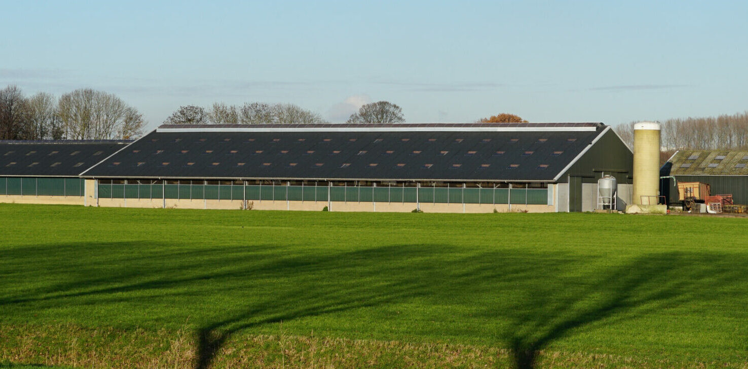 Asbest project Sneek