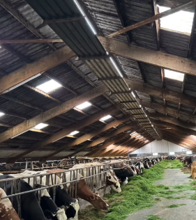 Asbestsanering en plaatsing sandwichpanelen