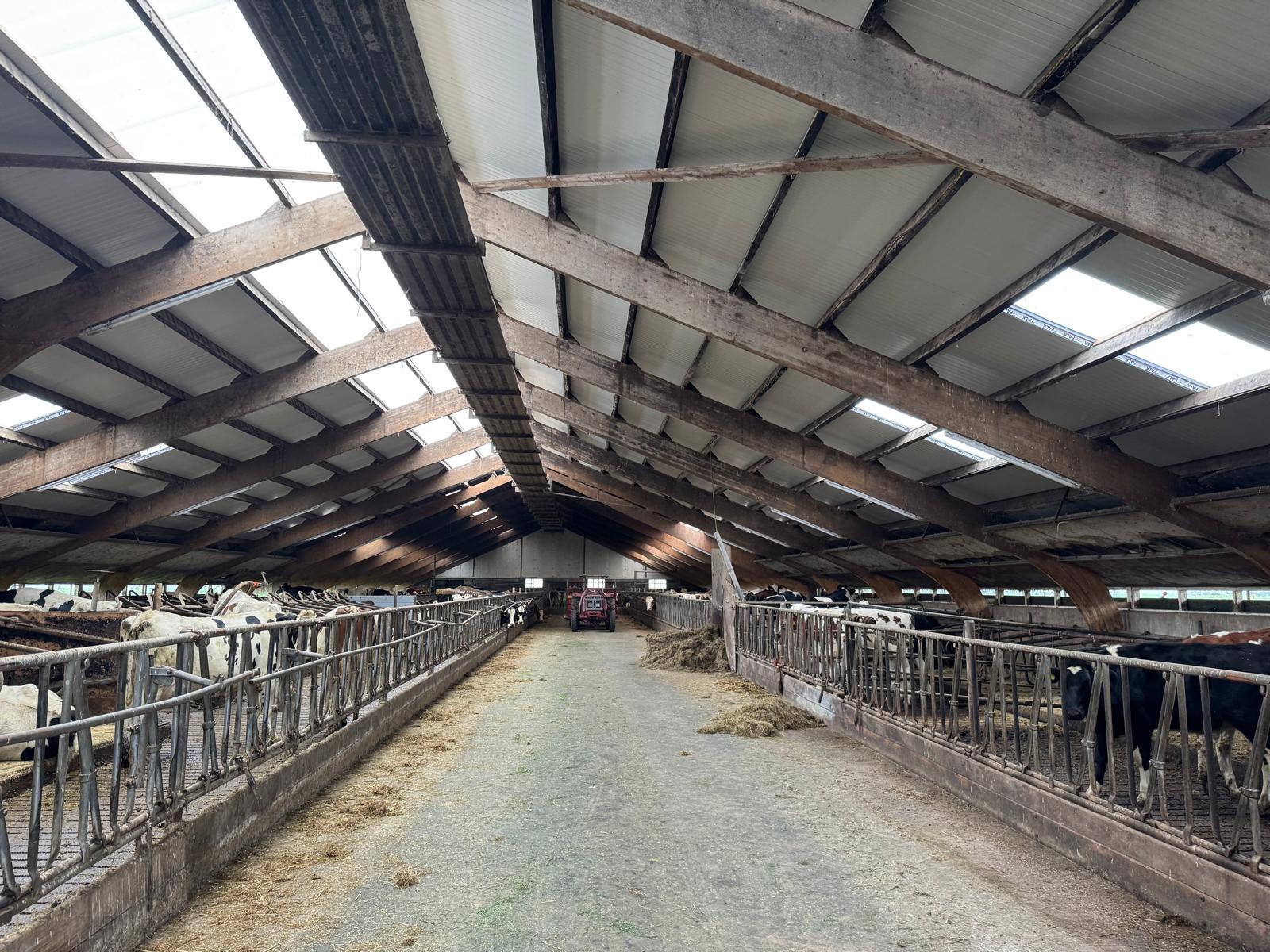 Asbestsanering en plaatsing sandwichpanelen