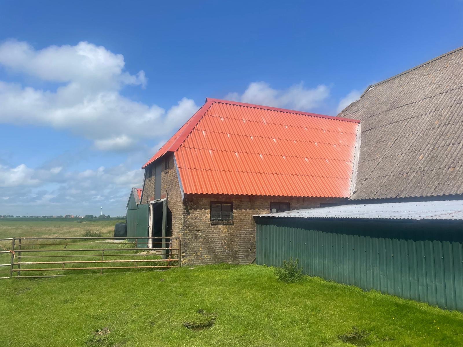 Asbestsanering & nieuwe golfplaten