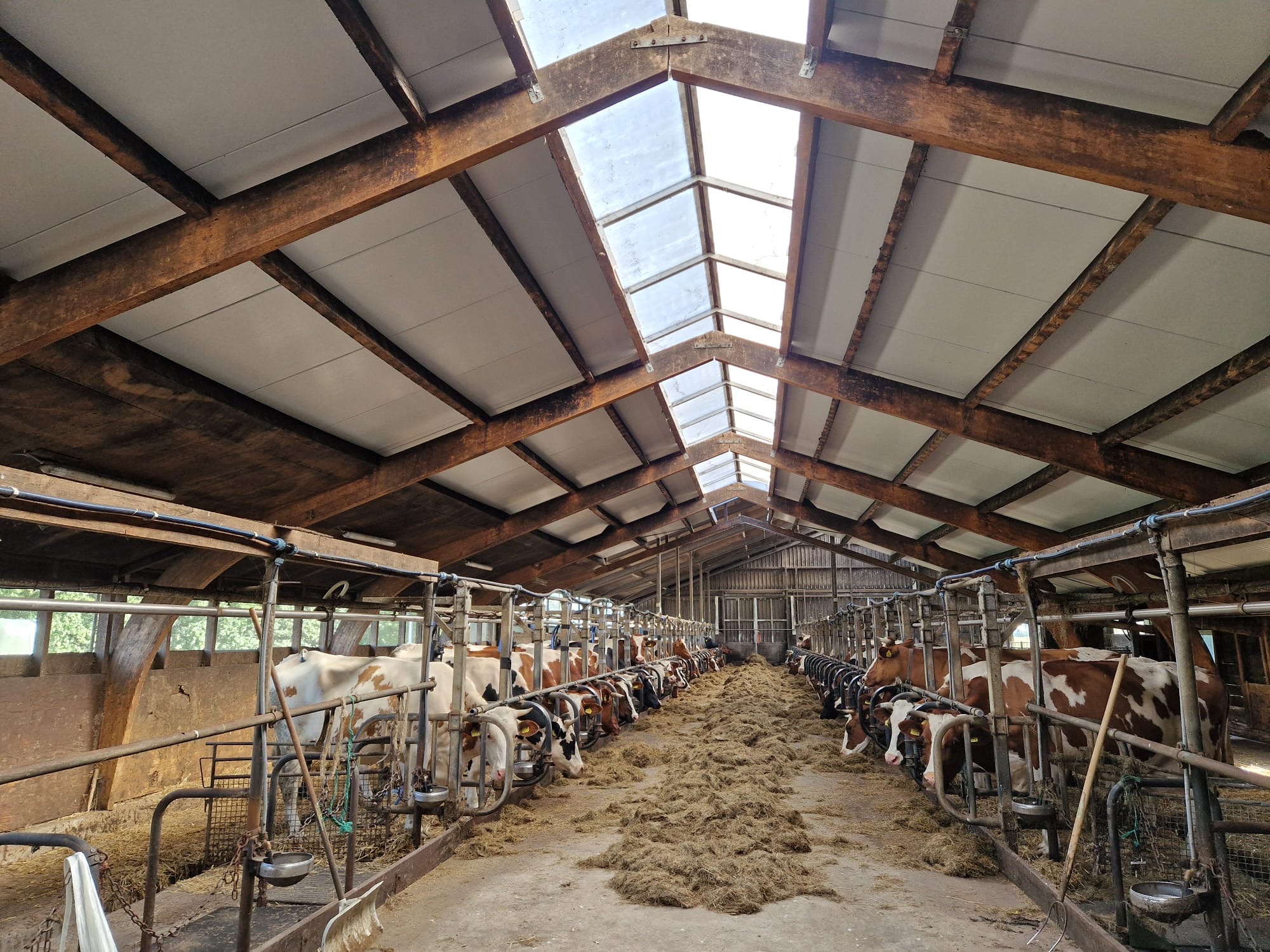 Asbestsanering & dakbedekking stal