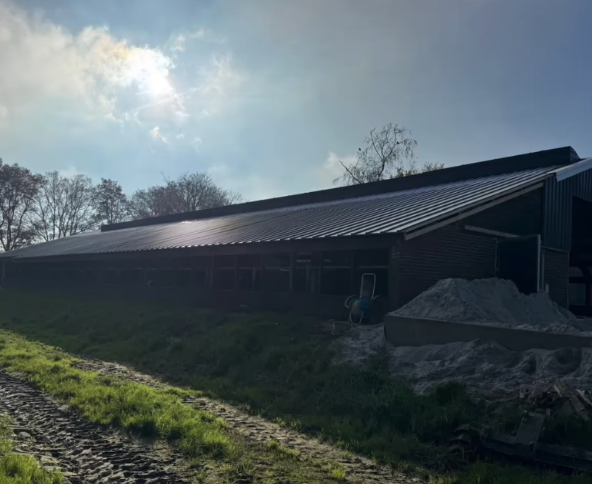 Asbestsanering en plaatsing sandwich panelen