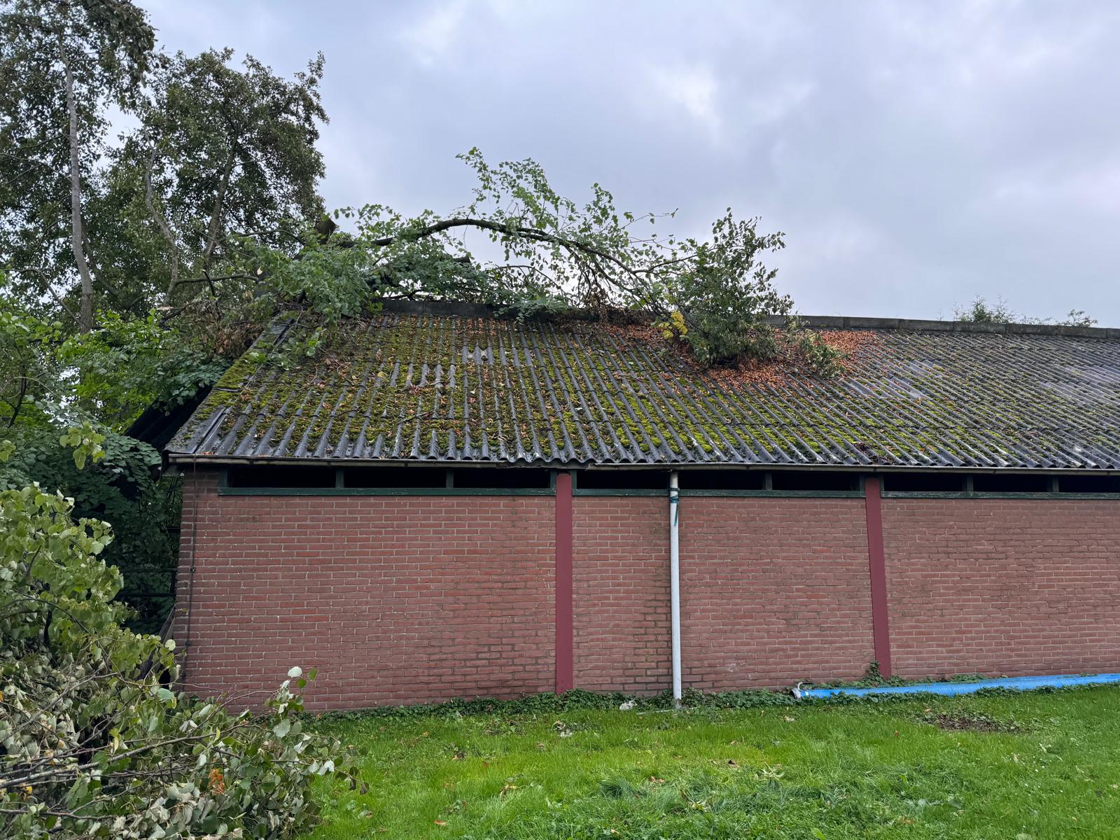 PHOTO 2024 12 06 10 01 17