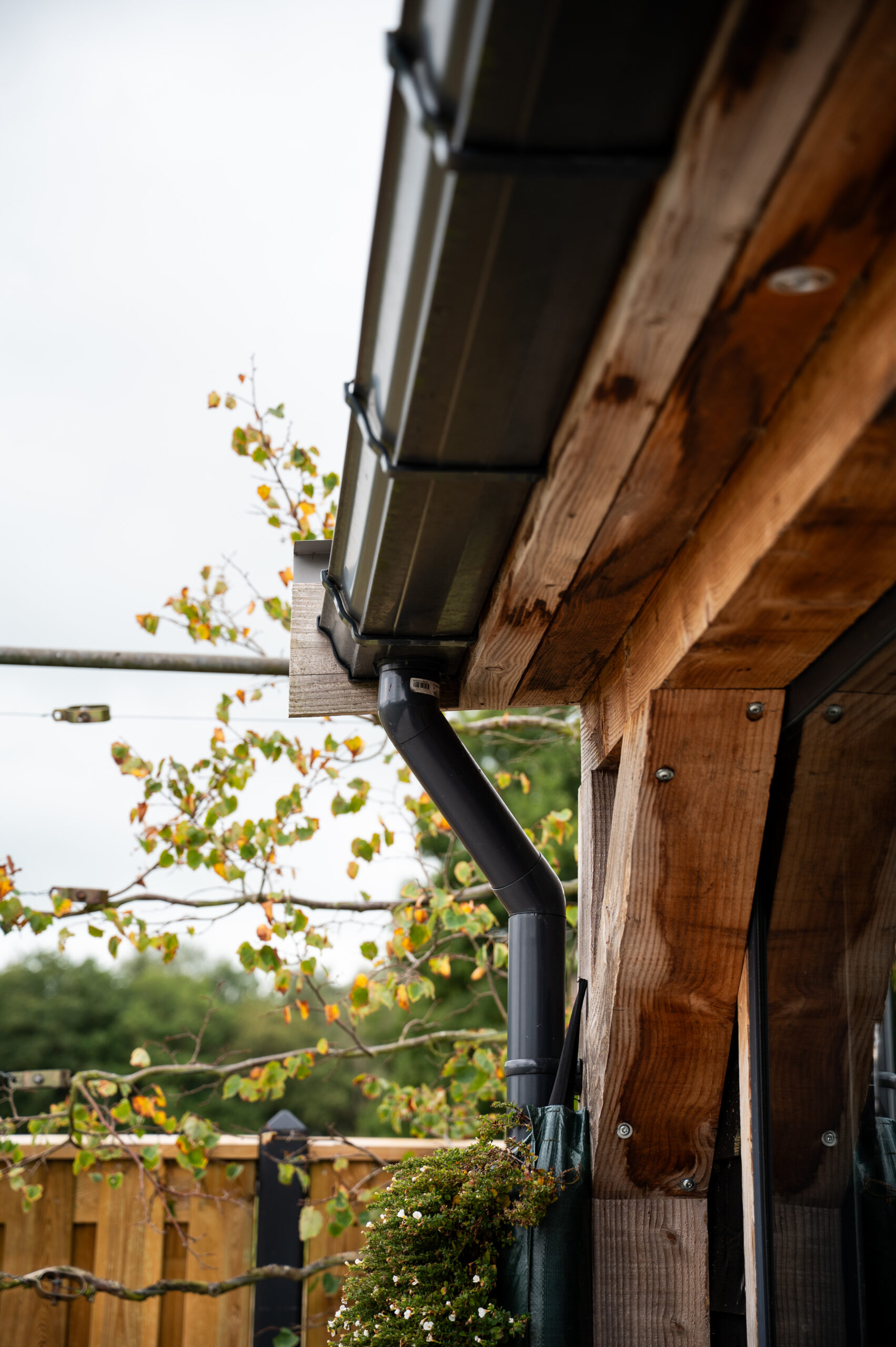 Veranda katlijk2 scaled